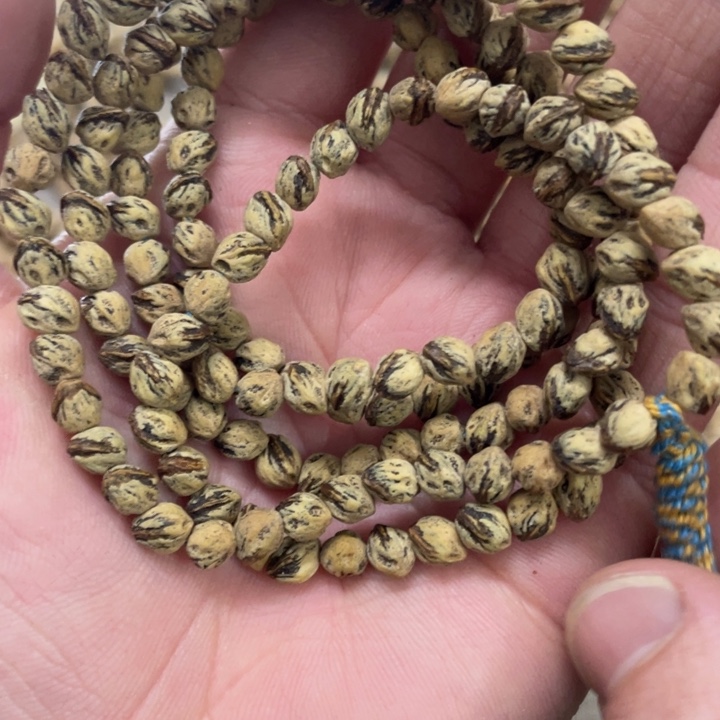 吊坠柏香籽/百香籽