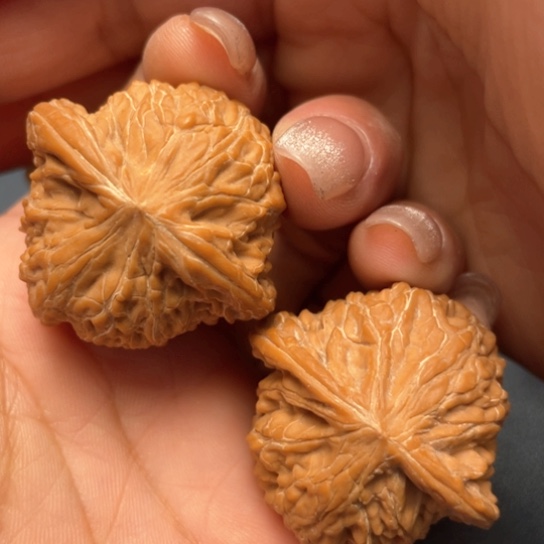 文玩核桃把件37磨盘