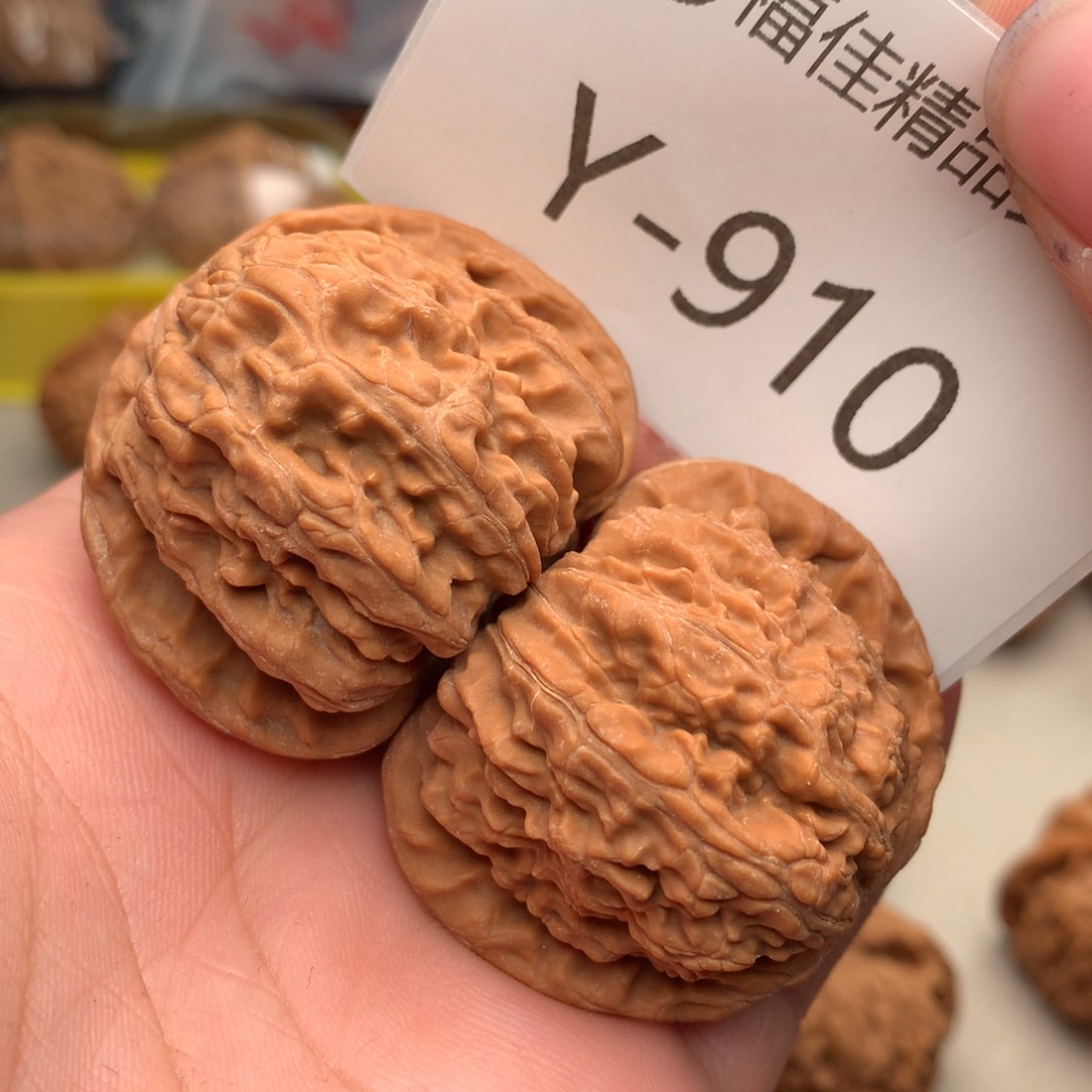 文玩核桃把件41白狮子…………….