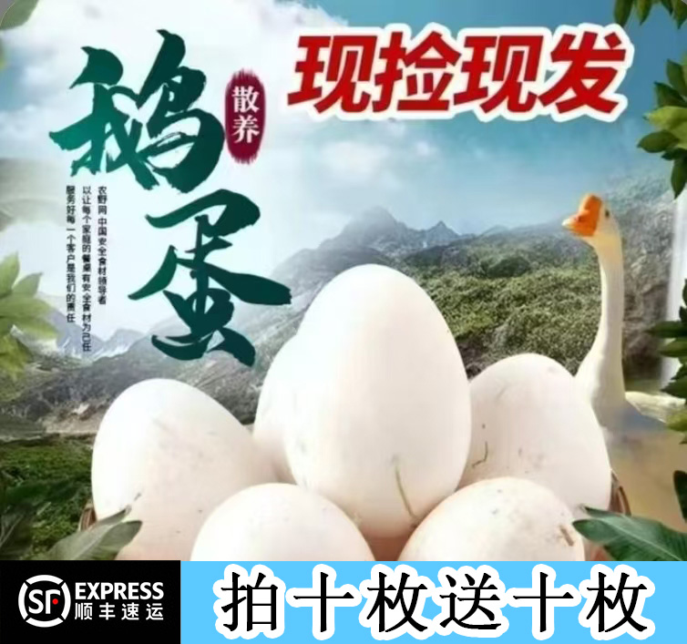 【买10枚送10枚】农家现养鹅蛋 破损包赔顺丰包邮80g-100g