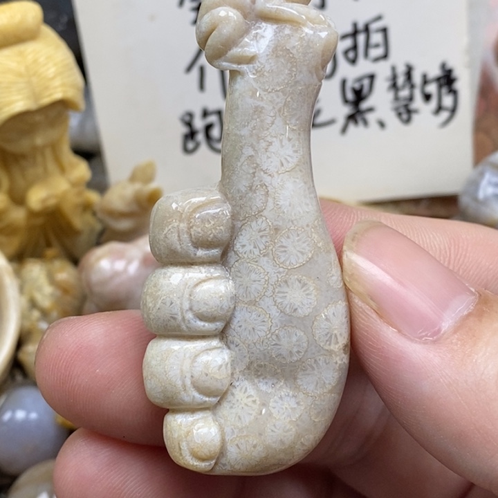 硅化珊瑚（珊瑚玉）未镶嵌颈饰