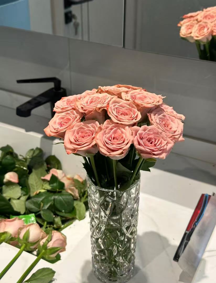 卡布奇诺10支任意两单包邮山东北京天津河北今天拍明天到