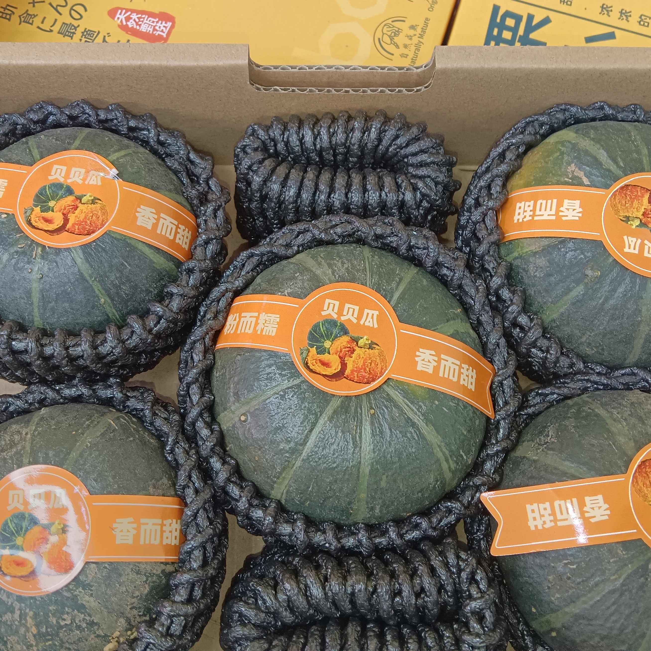 内蒙古贝贝小南瓜9.9/箱净重3斤左右