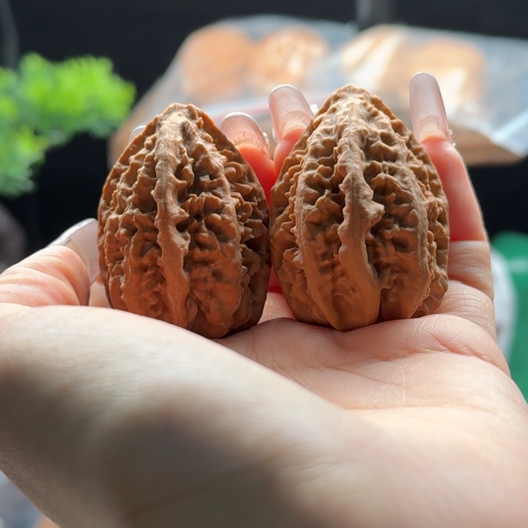 文玩核桃把件关东木子楸百核35