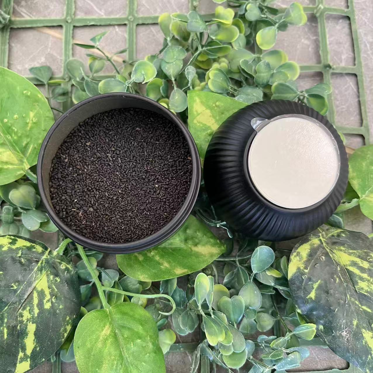 雨腾古茶  T天“全T 全R”30g/罐（11月23) 