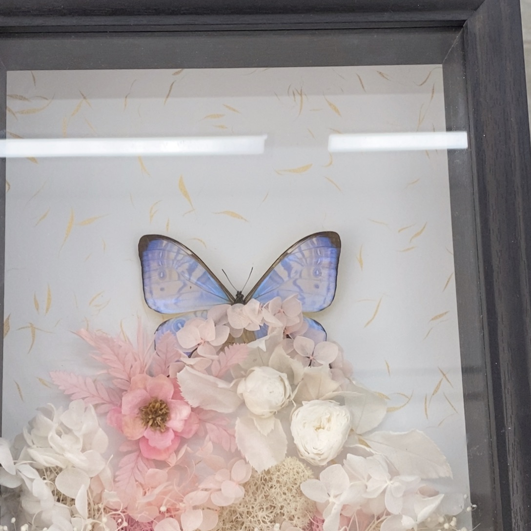 双层款铝合金蝴蝶相框