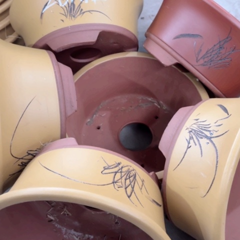 100-6。       26-12