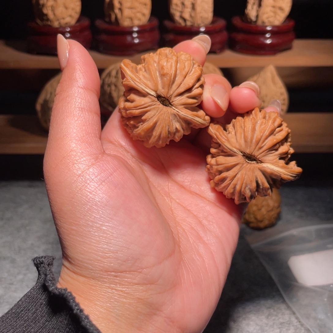 菊花底四座楼全品44