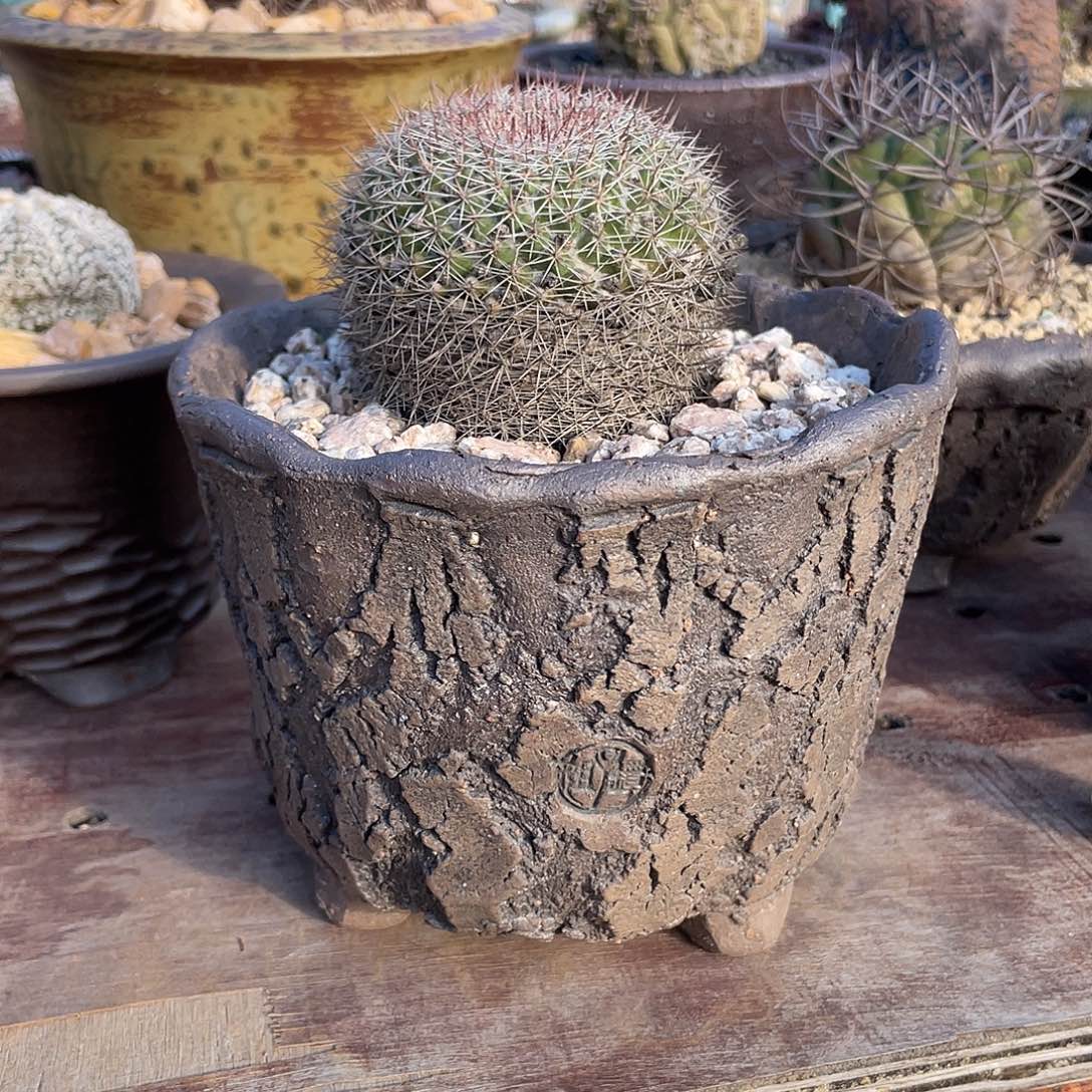 拾***月坛子姐花盆 默认微次 内口13左右