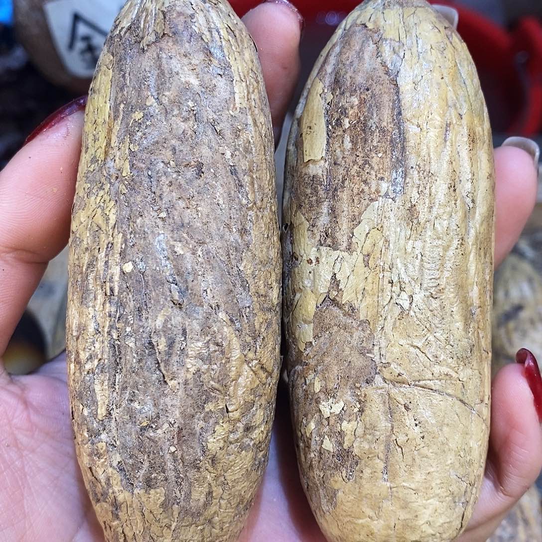 菩提菩提千眼菩提卡100+