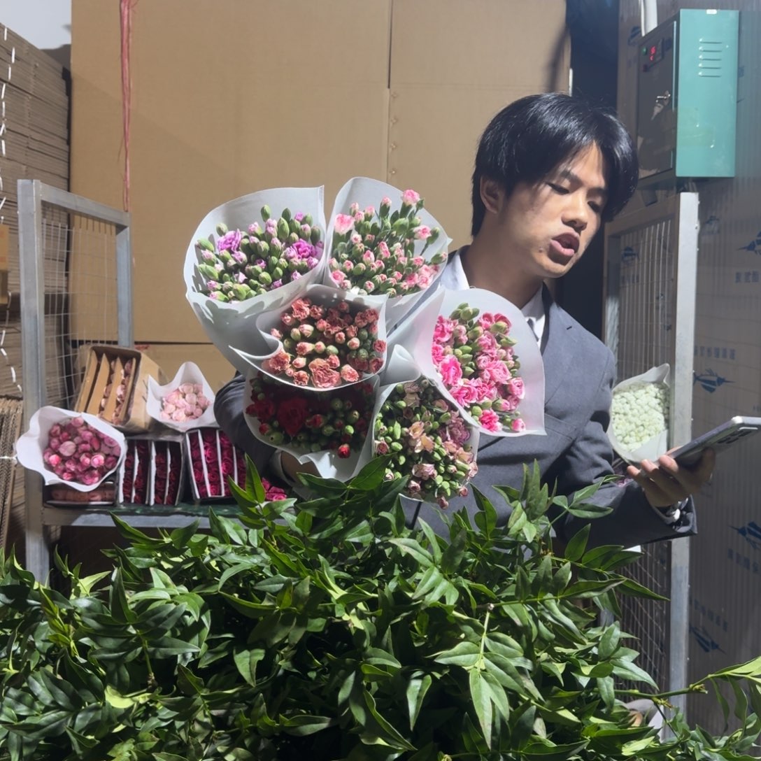 随机多头康乃馨2扎。    