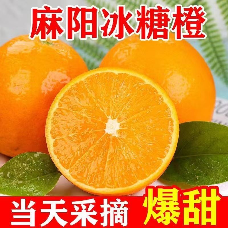 【正宗】湖南麻阳冰糖橙水果当季新鲜现摘薄皮纯甜多汁橙子整箱包邮