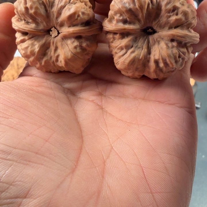 涛***碎吊坠文玩核桃蛤蟆的眼睛是真的好看