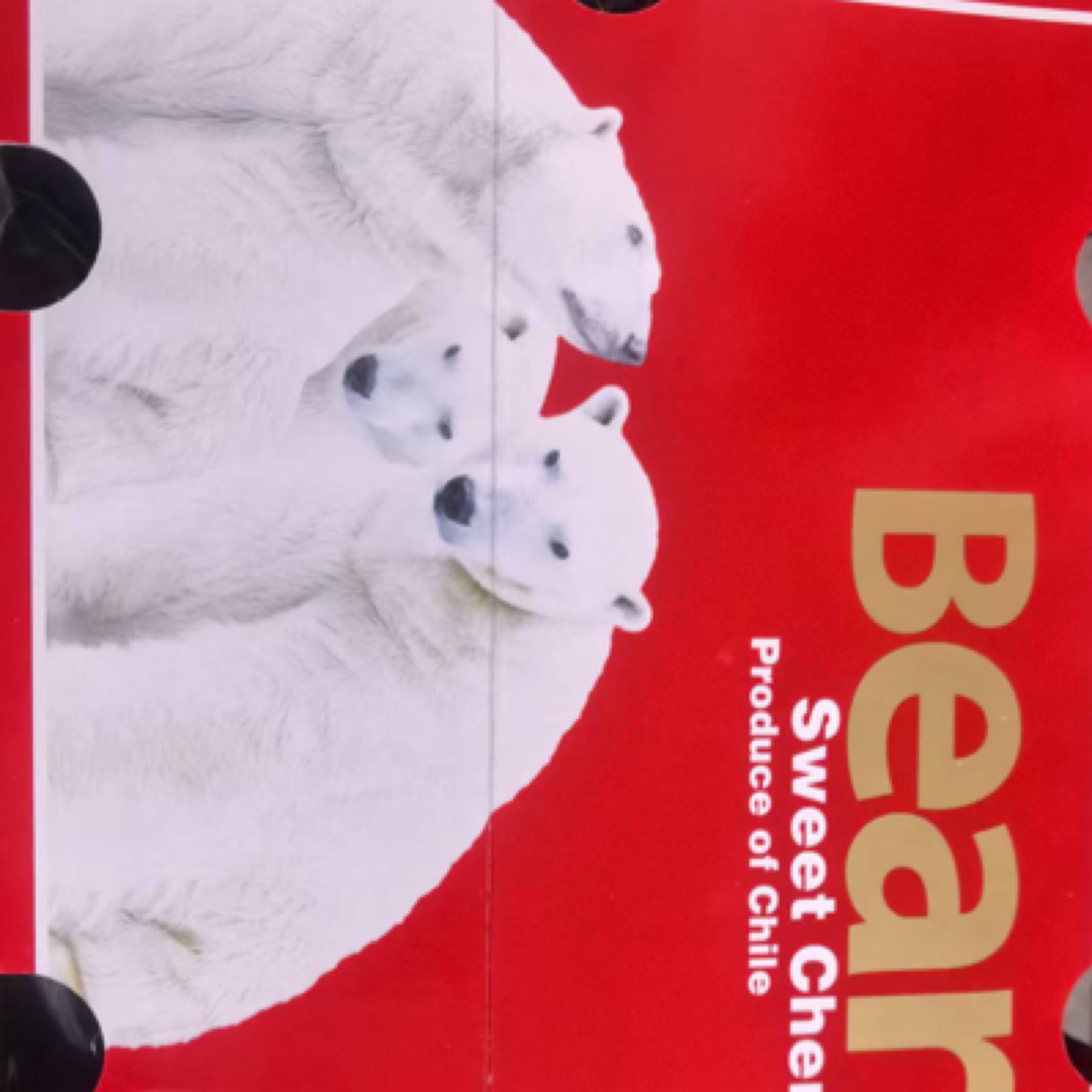 3JJJ车厘子冰熊原箱净重5斤智利海运车厘子 内附果径卡