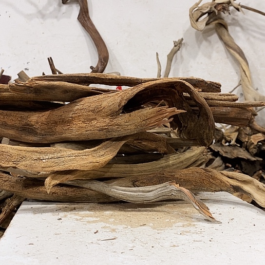 寒***白柏木我们都是好孩子