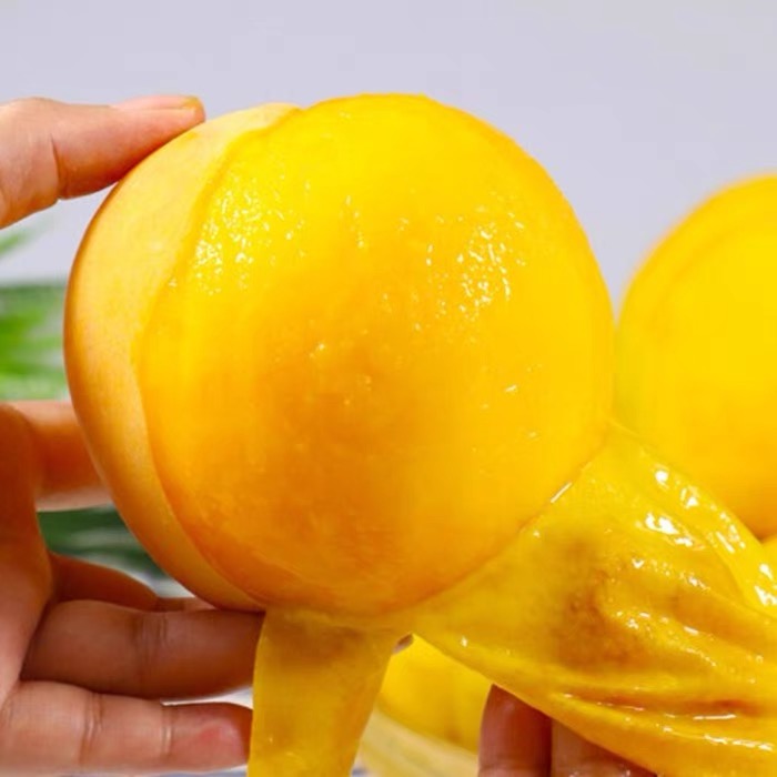 【风清推荐】山东蒙阴黄金蜜一号毛桃净重3/4.5斤装  坏果包赔