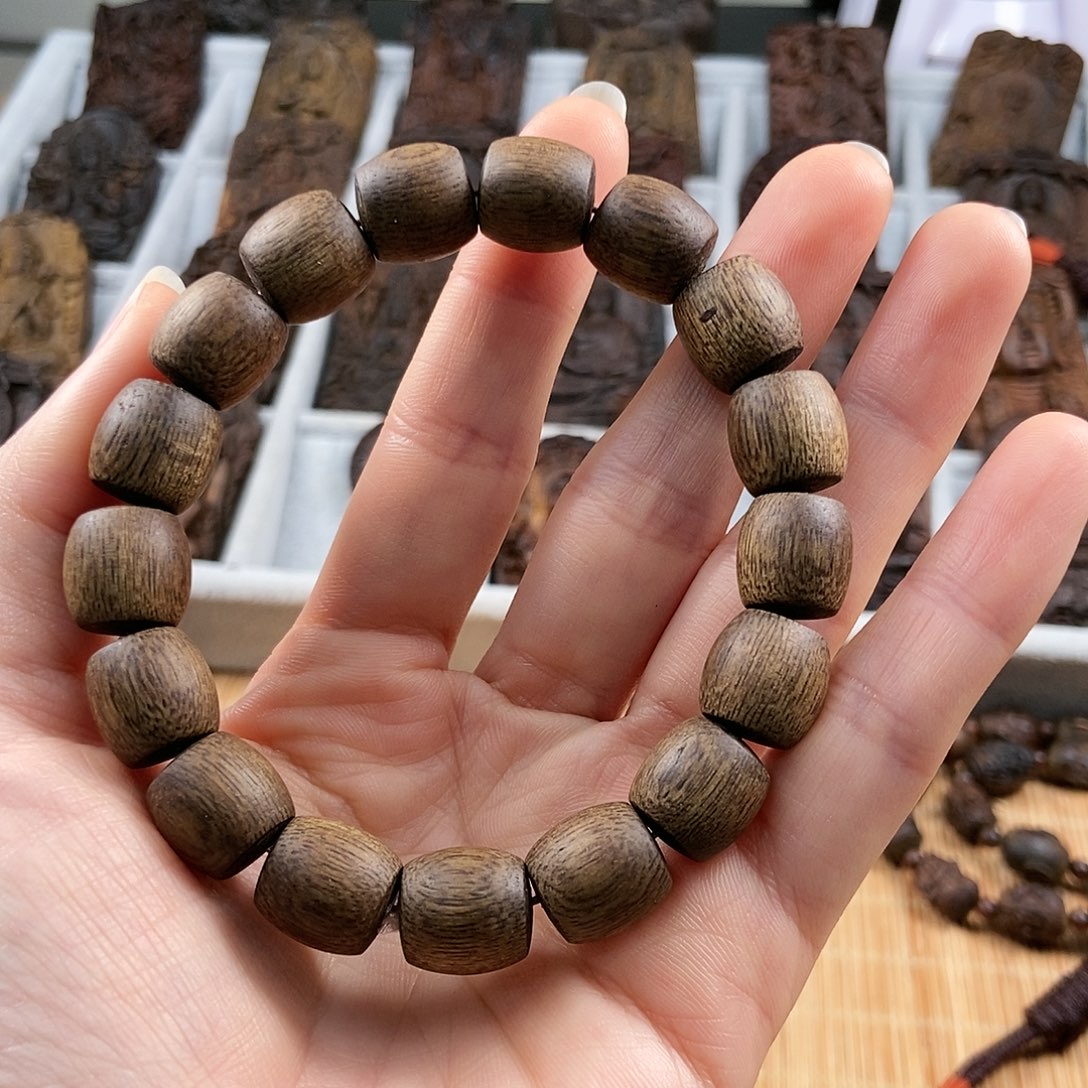 香榧木越南芽庄绿奇1.2