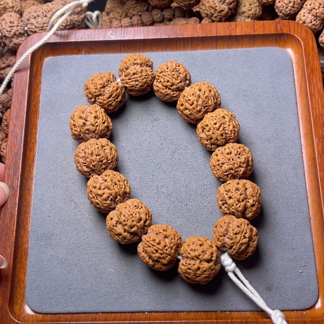 菩提籽类14号金刚菩提满肉双龙24