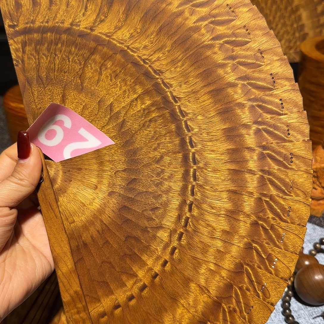 金丝楠连*小叶桢楠苏扇