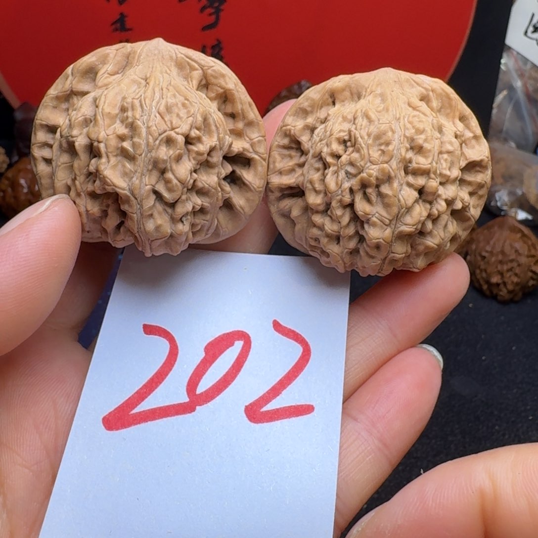 文玩核桃把件44望月