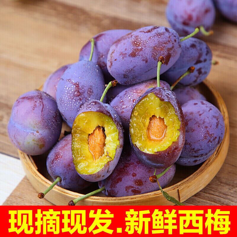 【顺丰次日达】大西梅当季孕妇水果甜西梅鲜果梅子整箱包邮26