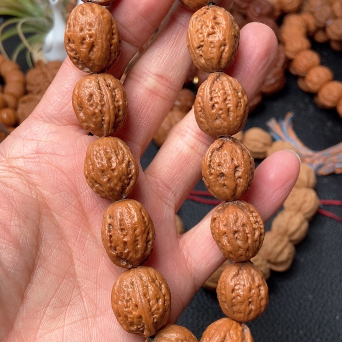 野生小秋子核桃粗筋枣庄17尺