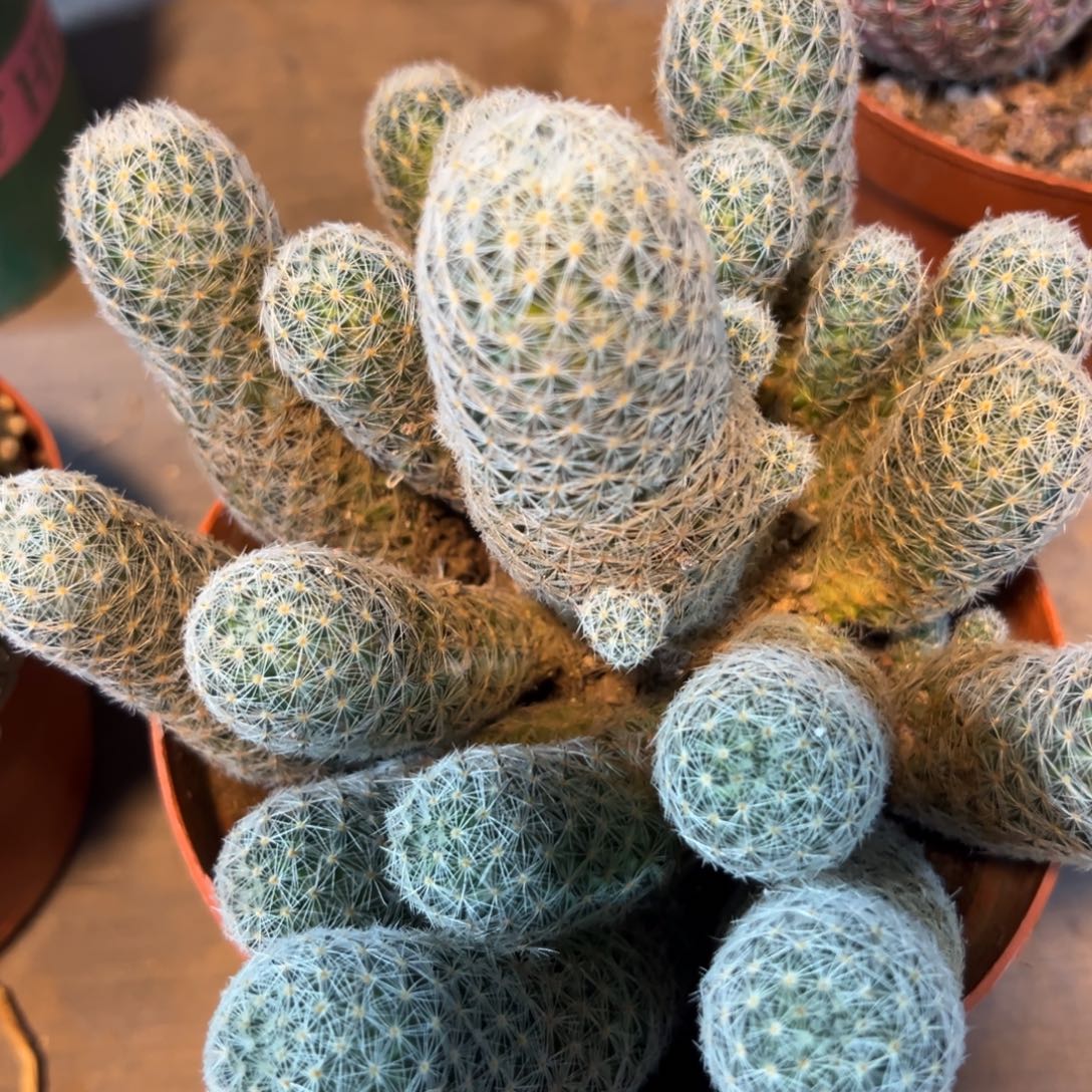 童***妹哈哈哈哈哈哈哈哈哈