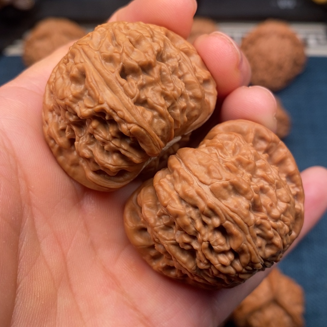 文玩核桃把件41红皮老树球白