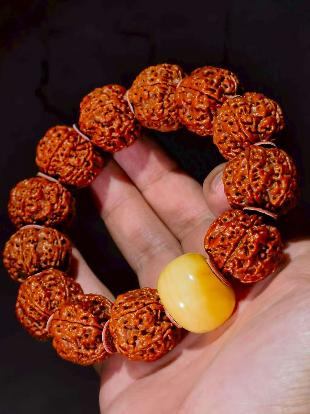 爆肉金刚菩提【直播间一物一图链接，请勿私拍】