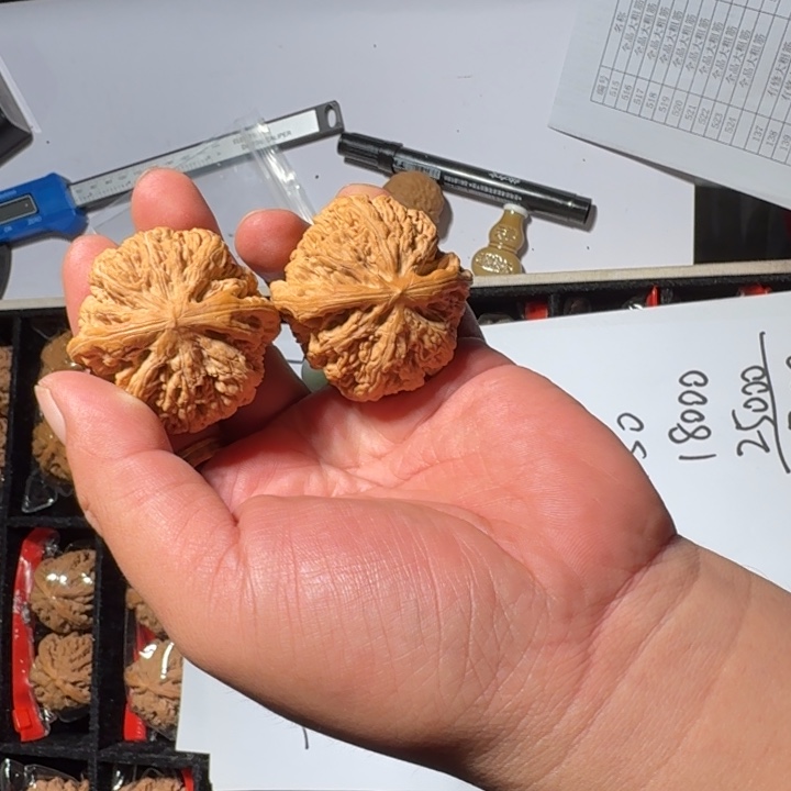 把件文玩核桃139号大粗筋43mm