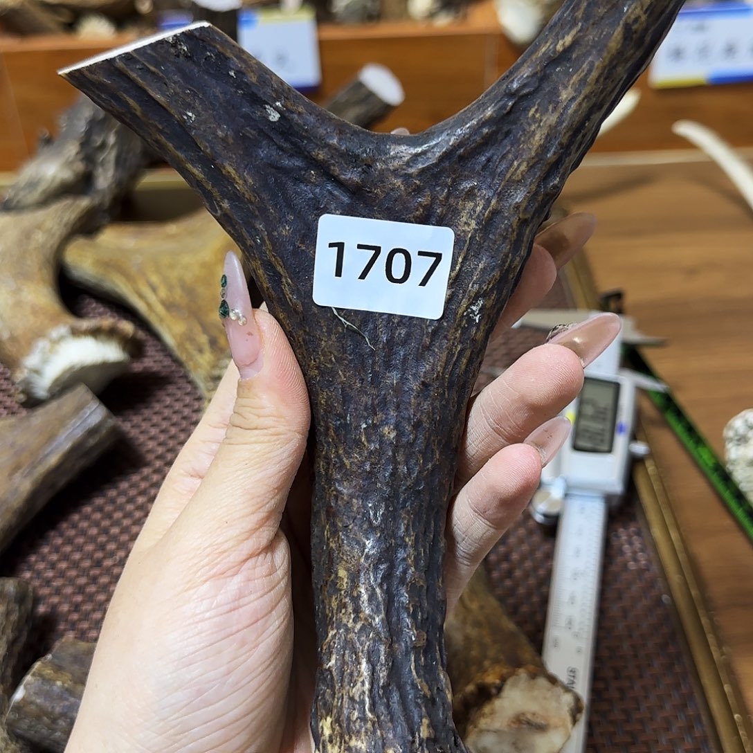 手串/手链鹿骨1707弹弓料