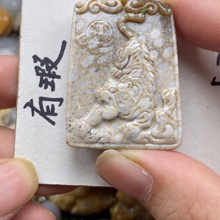 硅化珊瑚（珊瑚玉）未镶嵌颈饰