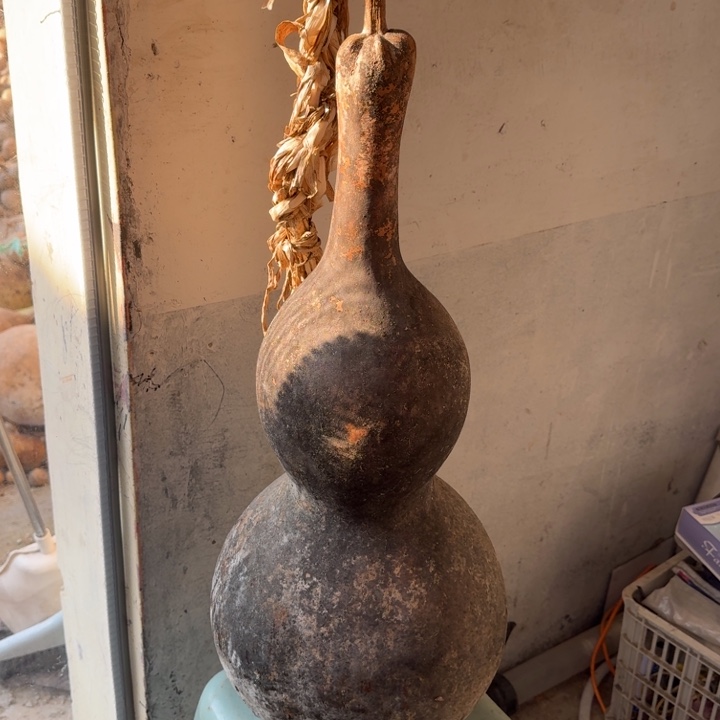 舍***得葫芦葫芦葫芦葫芦