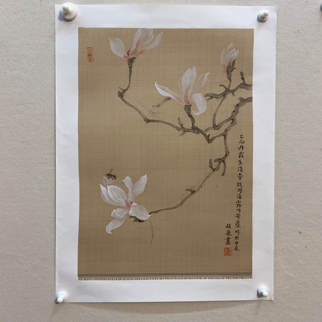 【闪购商品】国画墨鱼精品墨鱼精品