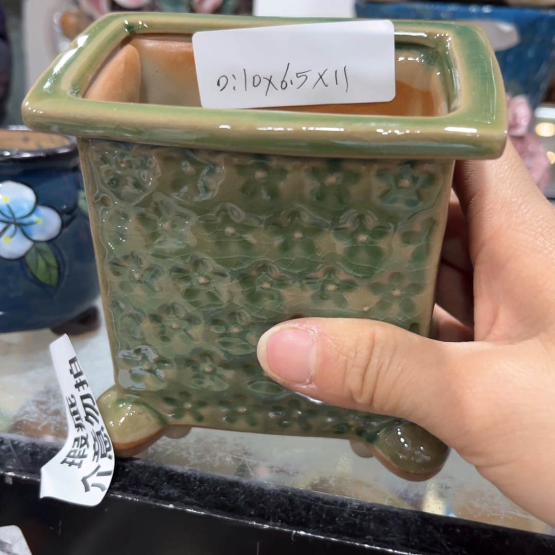 红陶福利福利福利福利