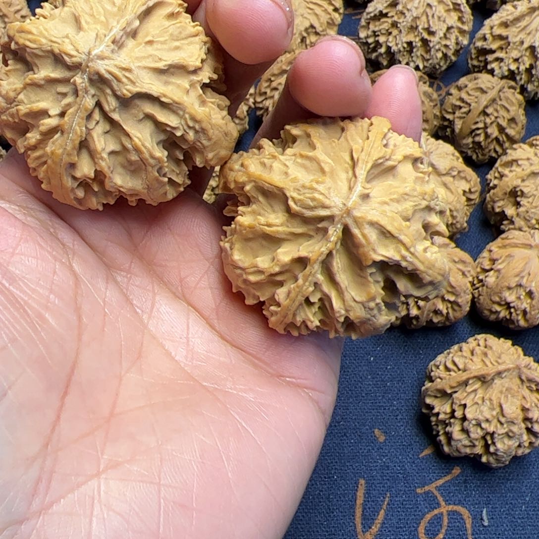 文玩核桃把件秦岭野生植物核桃