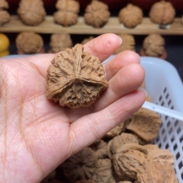 三***五把件文玩核桃尺寸