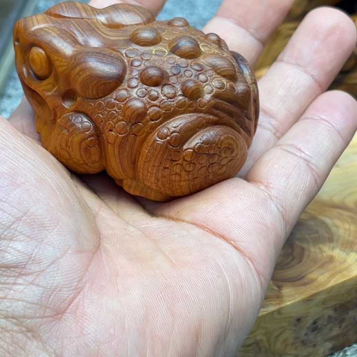 柏木（崖柏）崖柏21