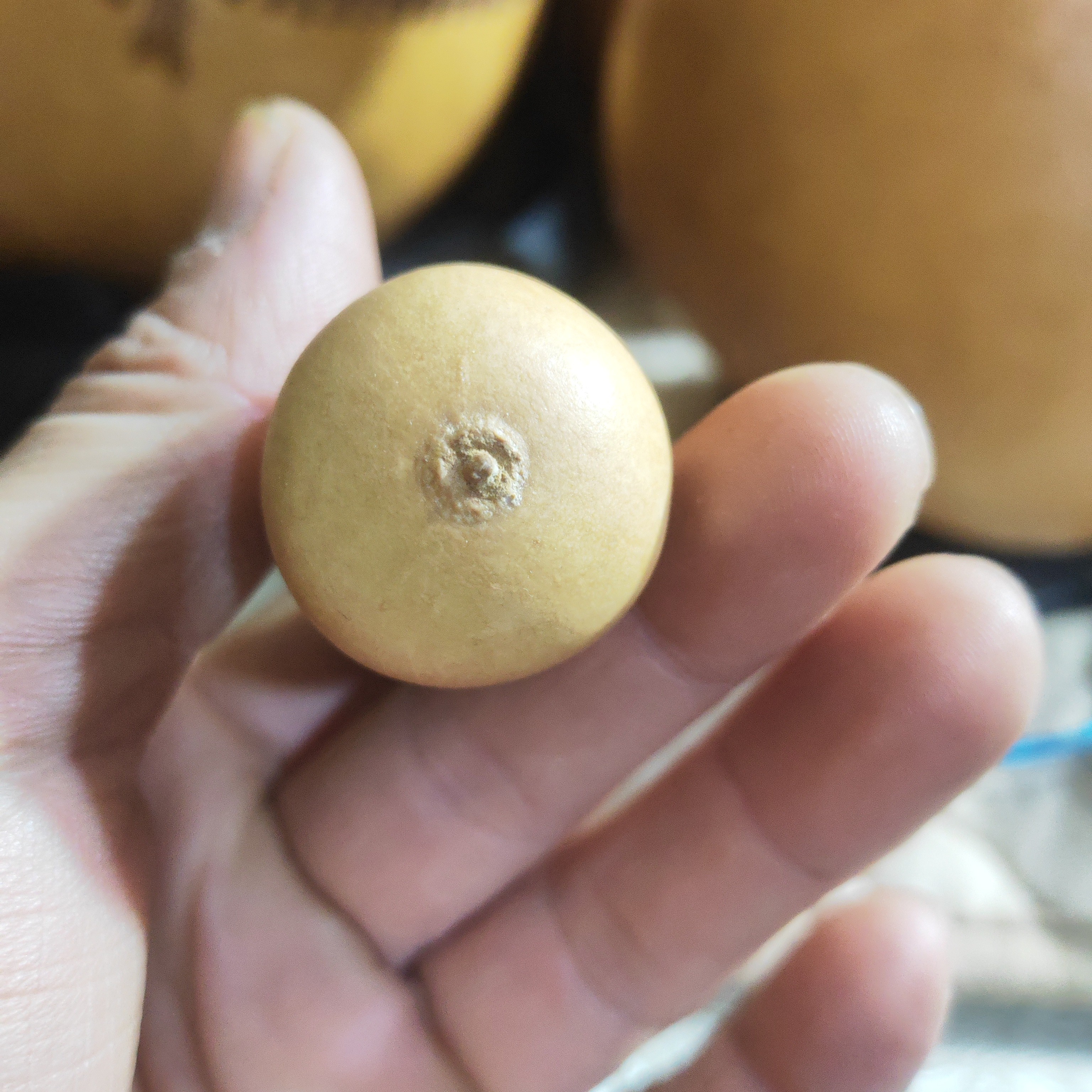 天然葫芦，手把件文玩小葫芦带龙头手捻葫芦盘玩福禄葫芦套环葫芦