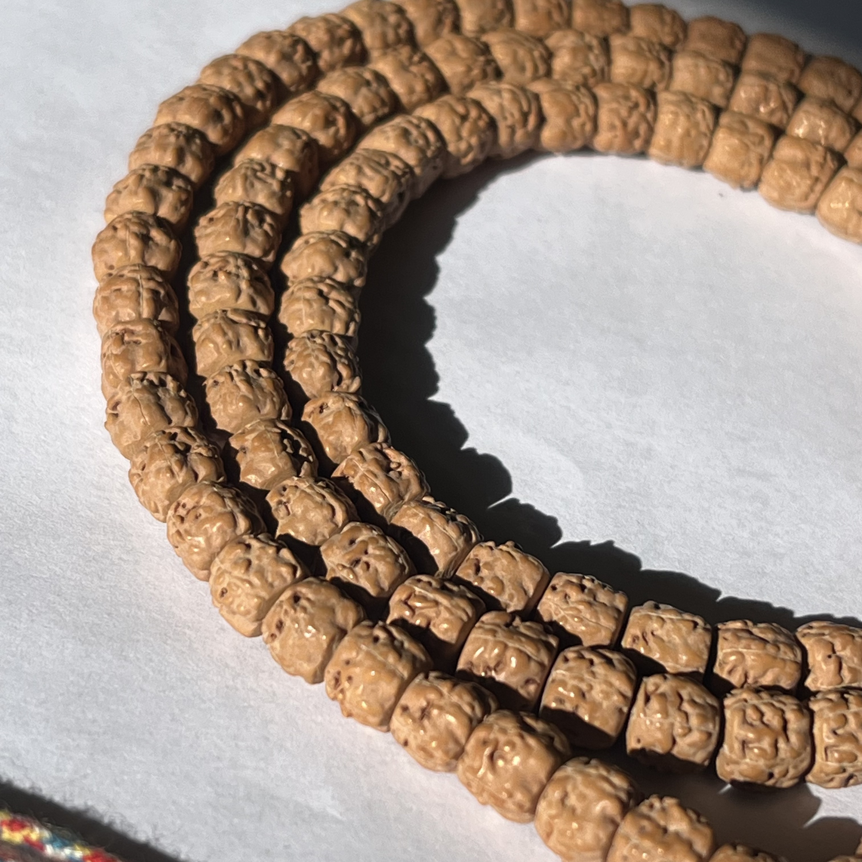 B02藏式龙切五爪金龙佛手小金刚菩提文玩长串7mm+