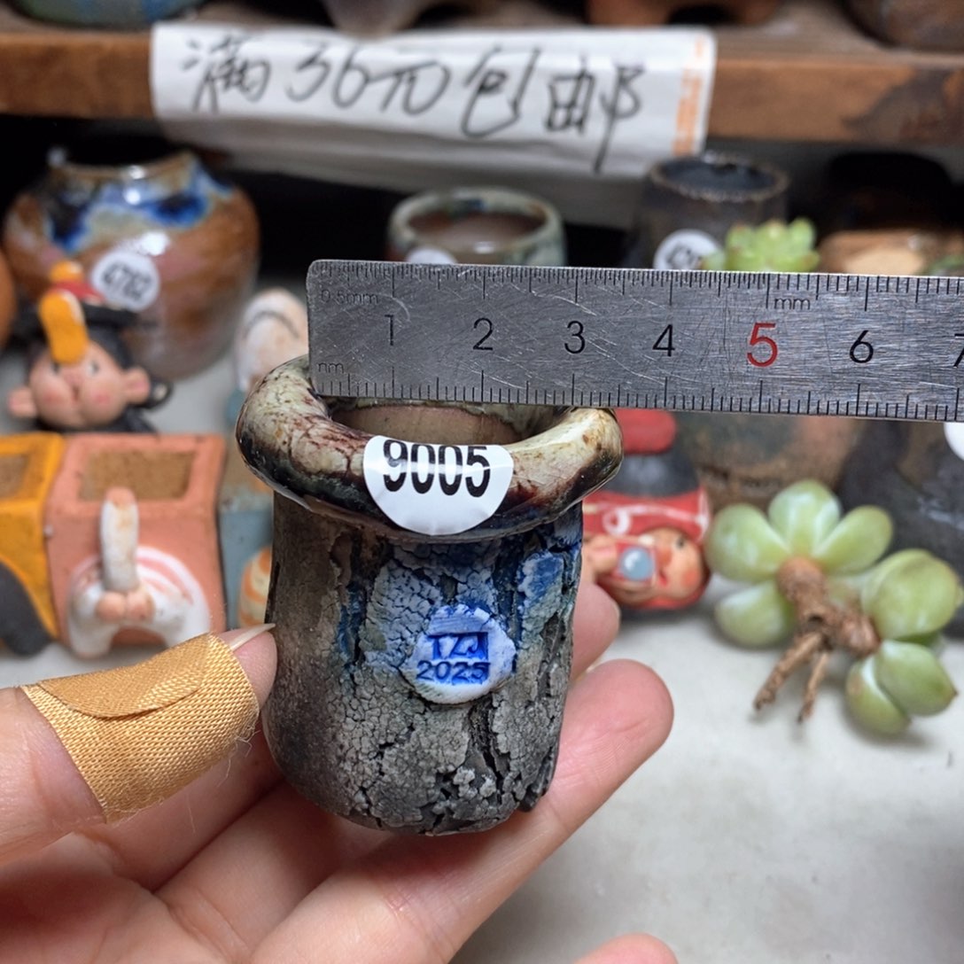 拍3送一个小礼物