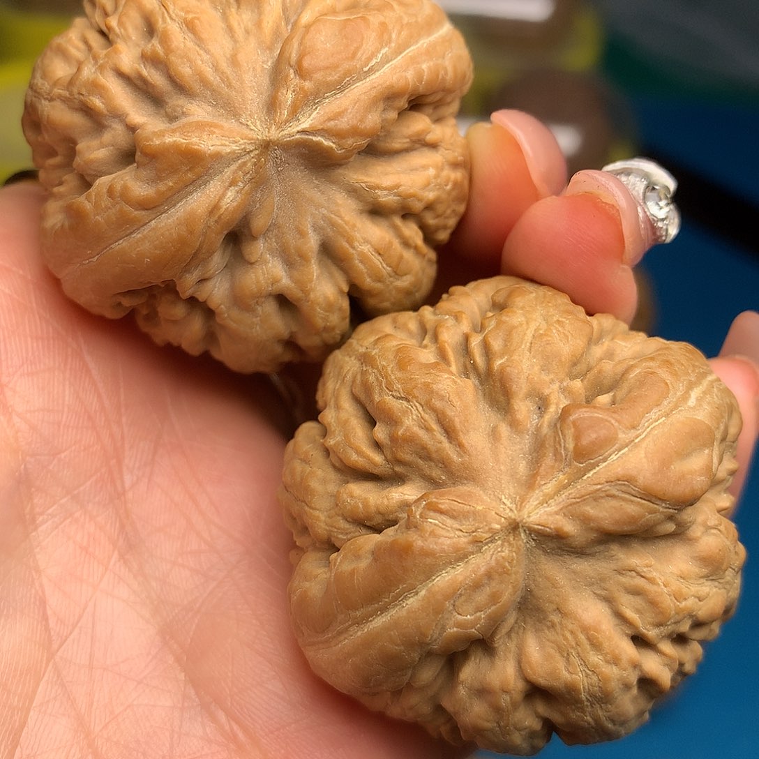 文玩核桃把件45全品闷尖霸王龙