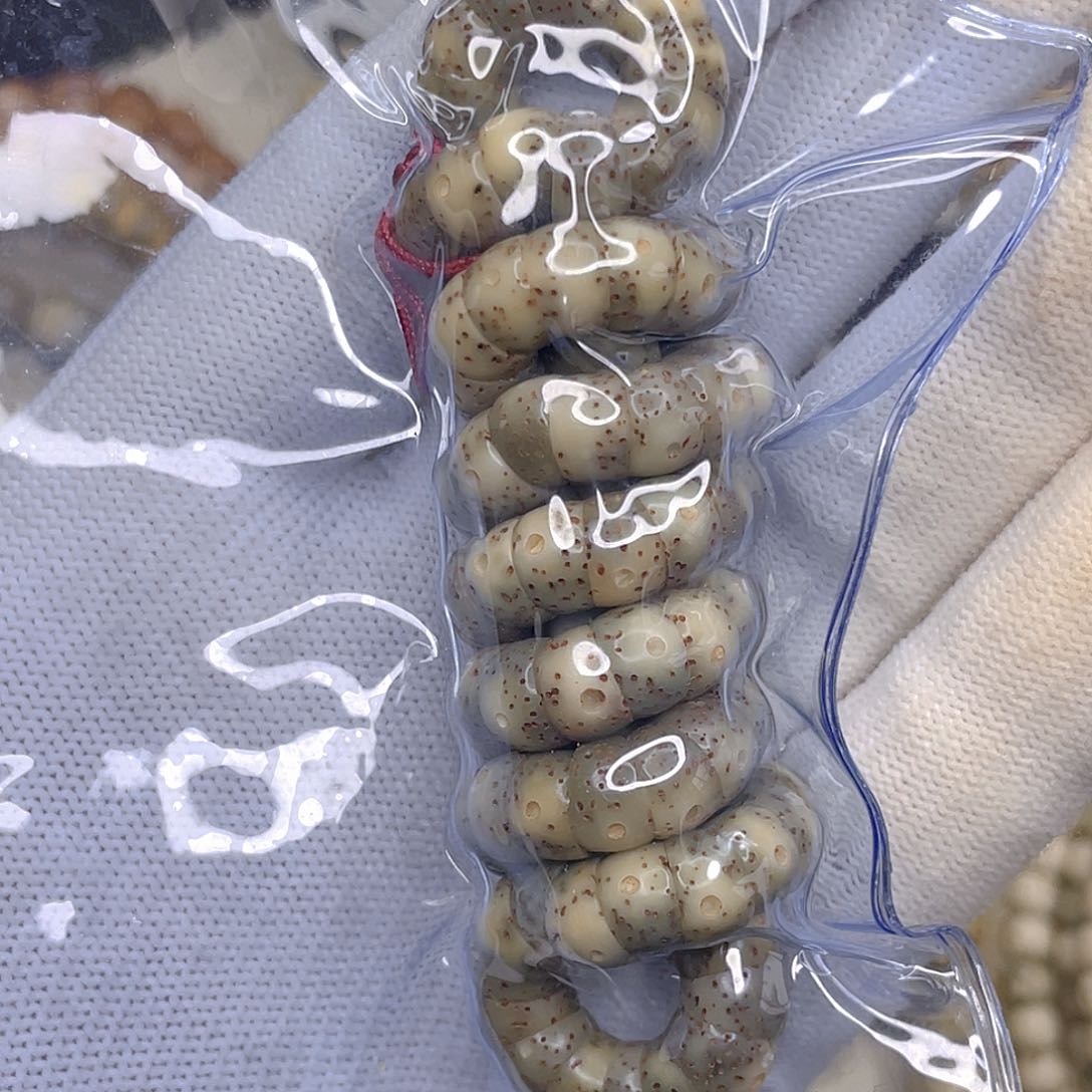 星月菩提吊坠7大肠