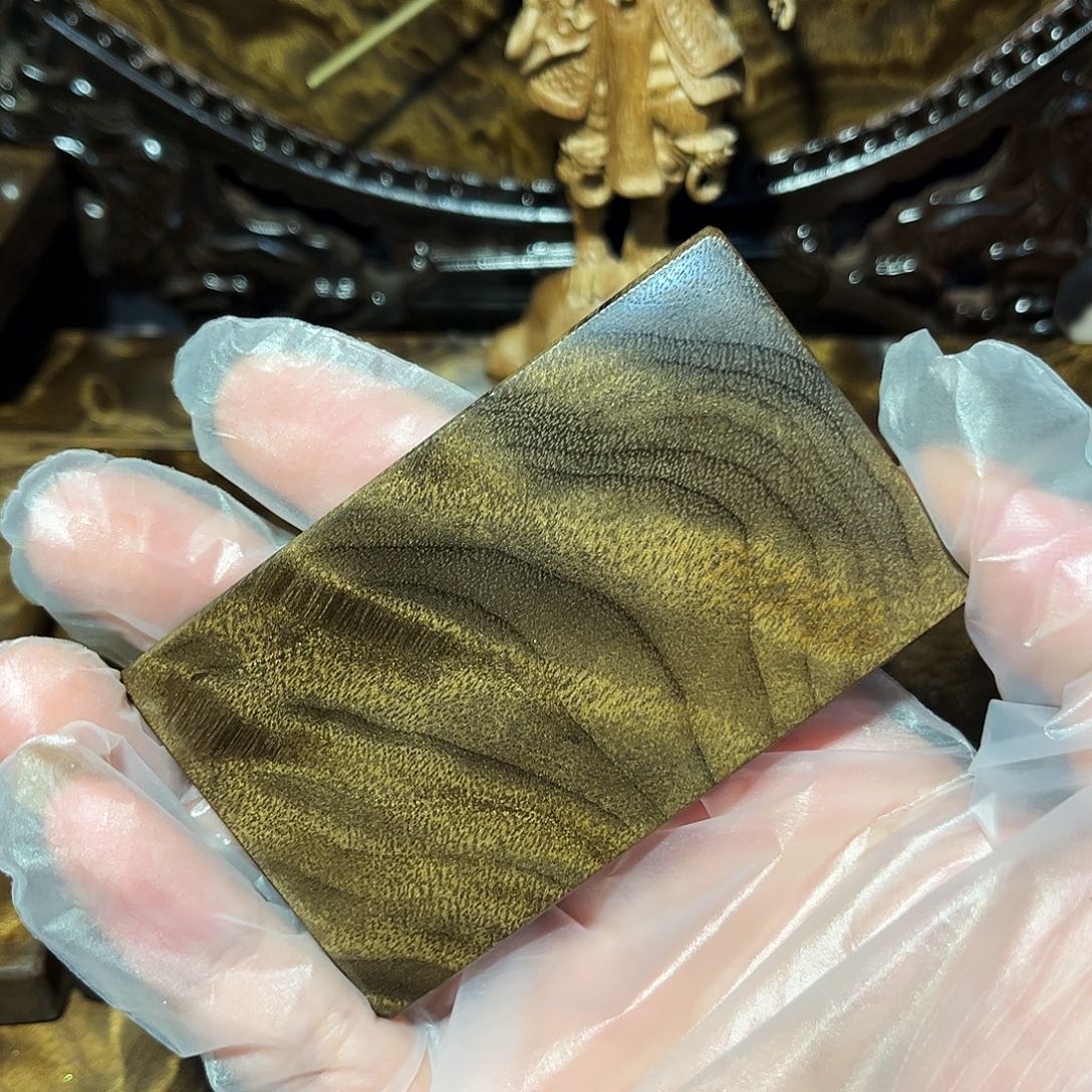 乌木金丝楠小叶桢楠