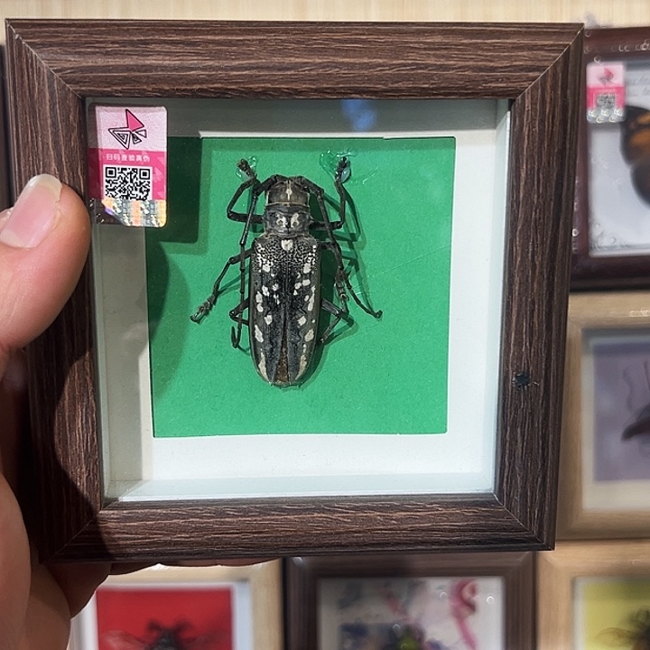 有机玻璃8909886665444444