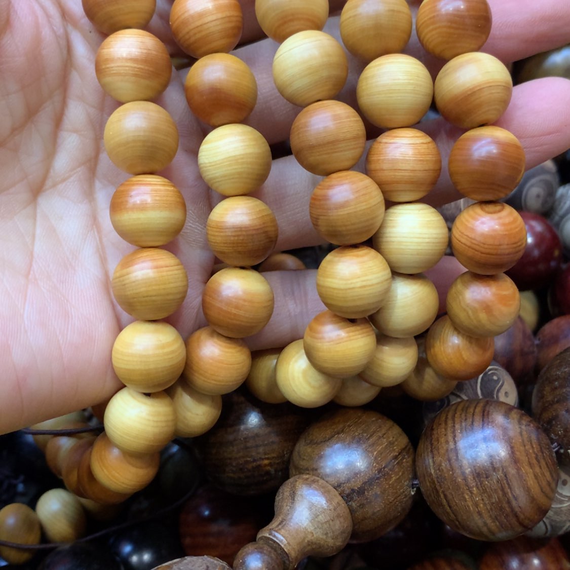 【闪购商品】木56福利福利福利福利福利