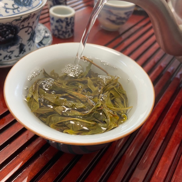 2024年曼松王子山核心产区片采三类勐腊县曼松古茶厂上等生普洱