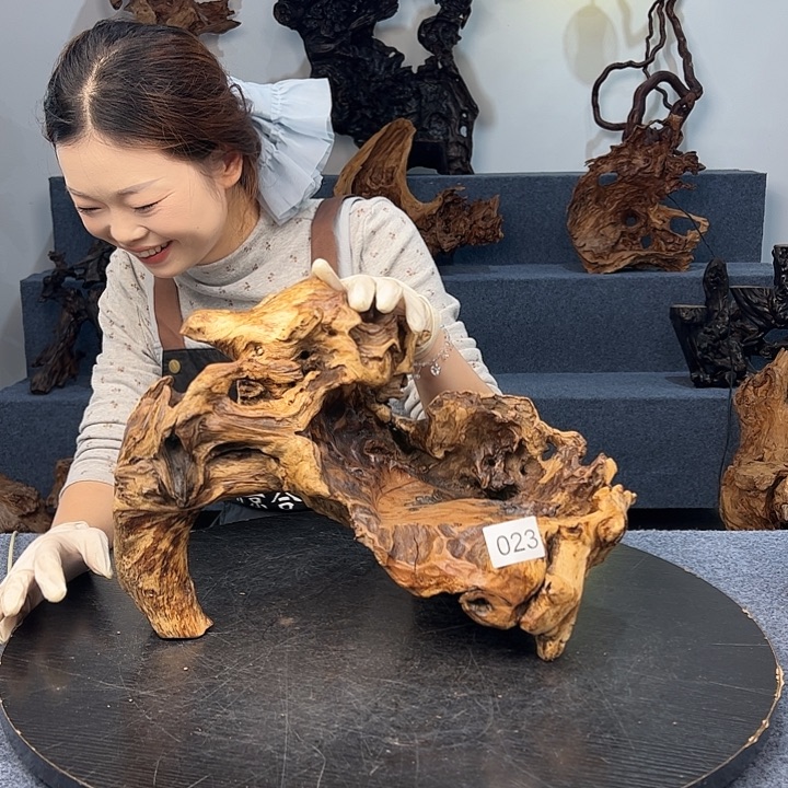 木木头款023株木根雕