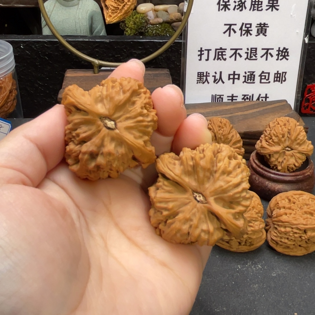 长***情猴头核桃把件涿鹿南疆石