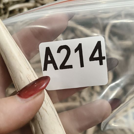 闲***事鹿角鹿角鹿角鹿角鹿角